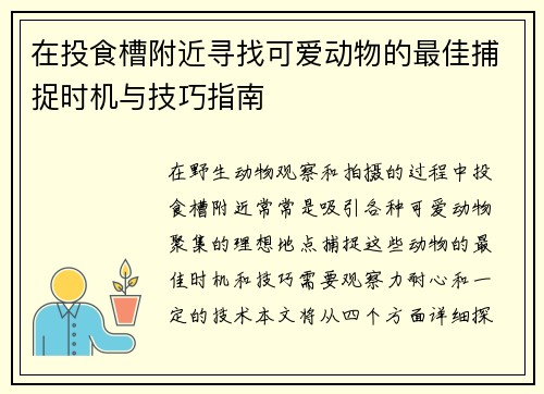 在投食槽附近寻找可爱动物的最佳捕捉时机与技巧指南